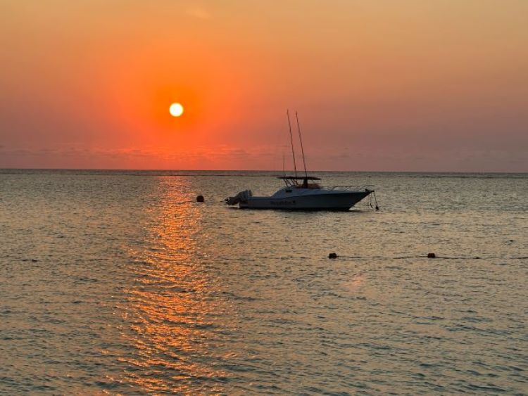 Premium Visa Application & Renewal | Mauritius