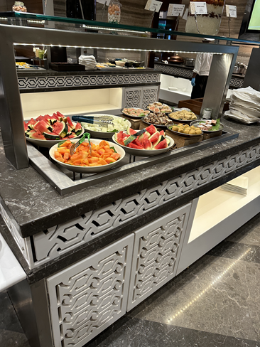 Adani Business Class Lounge | Mumbai Airport T2